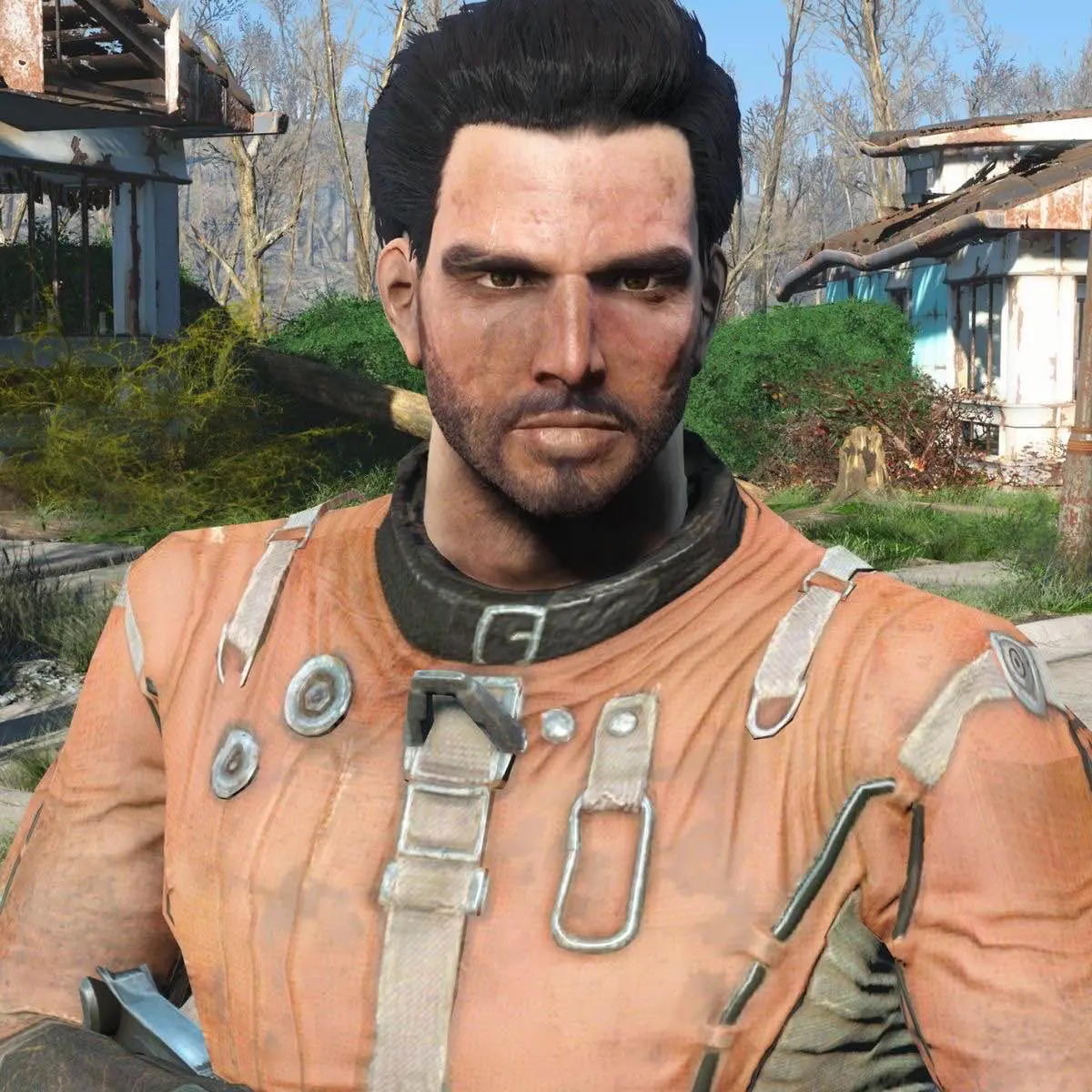Avatar of Paladin Danse