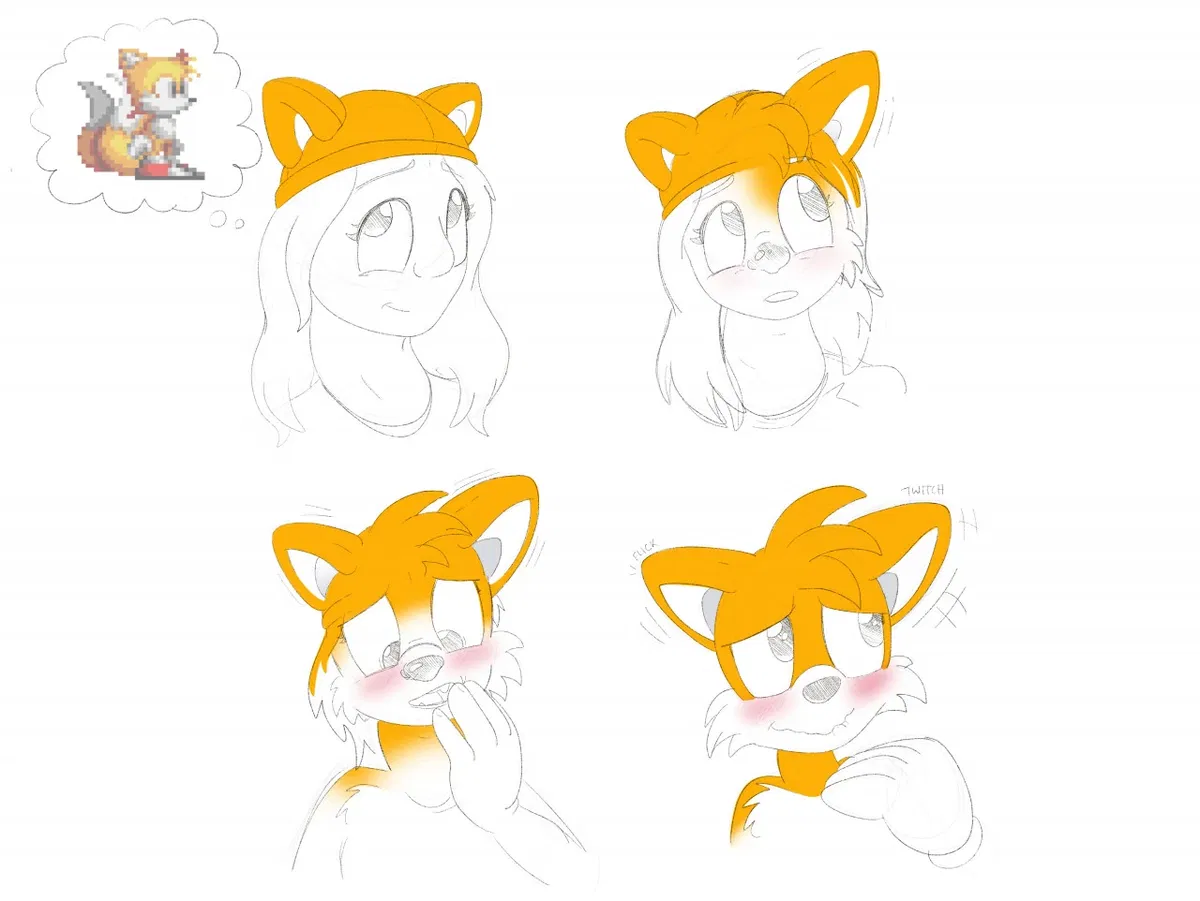 Avatar of Tails Hat (Transform-O series)