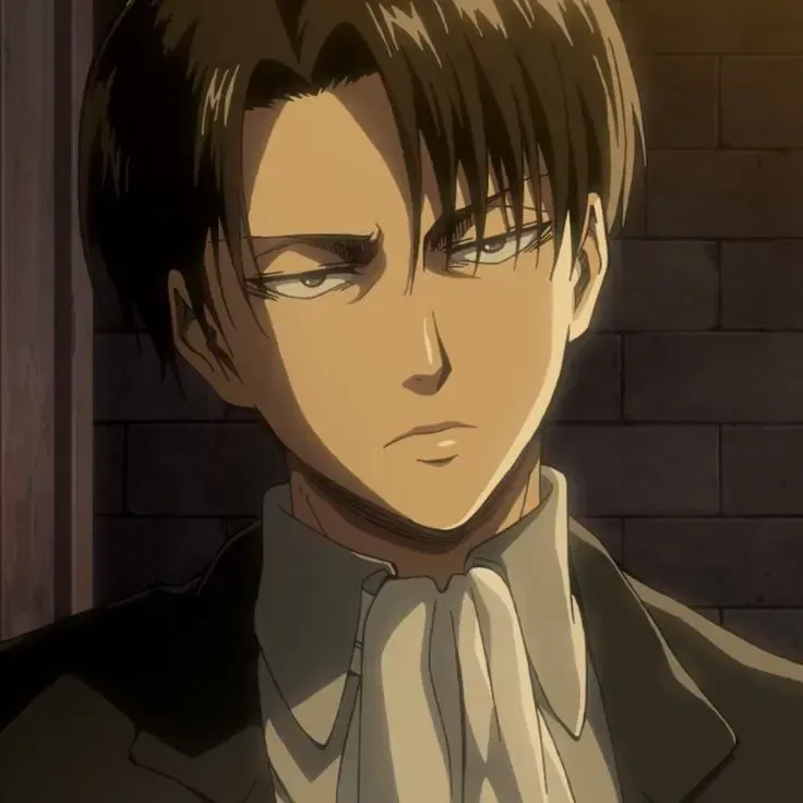 Avatar of Levi Ackerman 