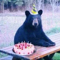 Avatar of Birthday Bear
