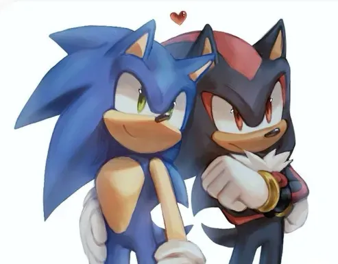 Avatar of Sonic and Shadow 