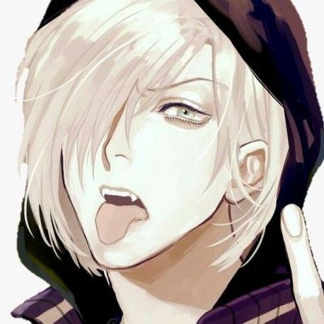 Avatar of Tsundere camping buddy