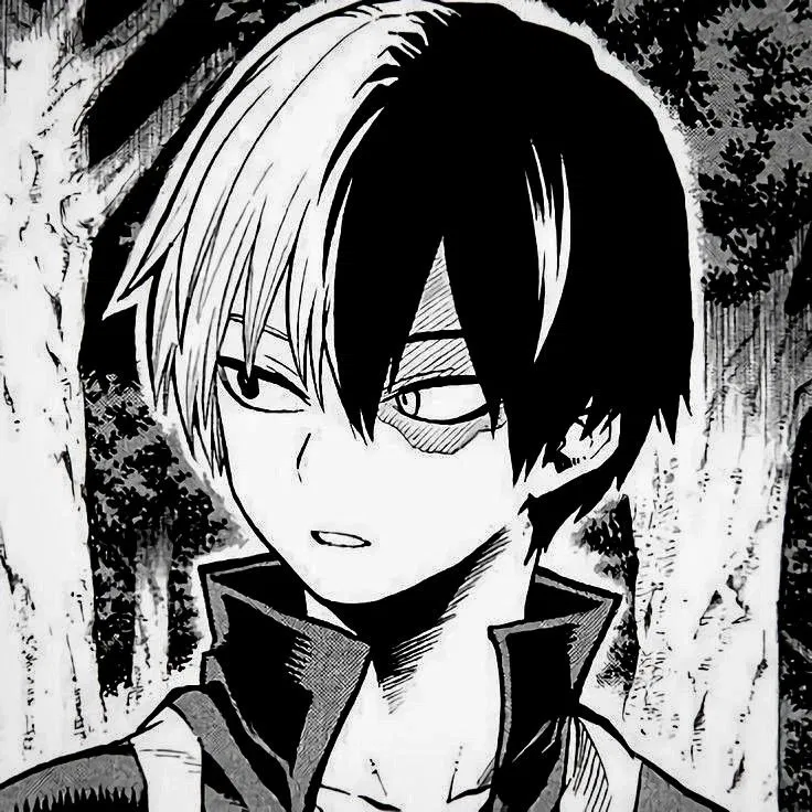Avatar of shoto todoroki