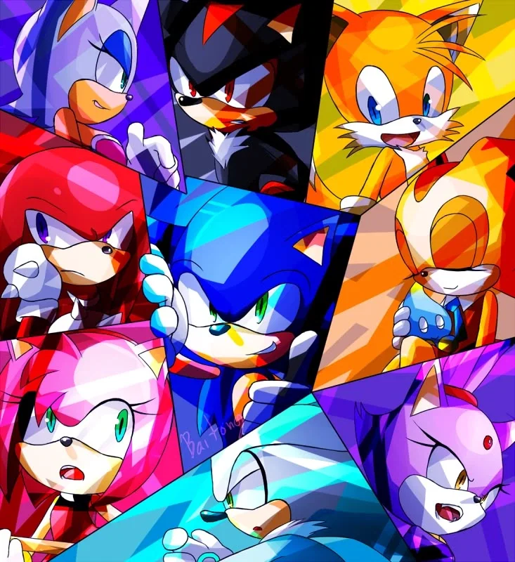 Avatar of The sonic team