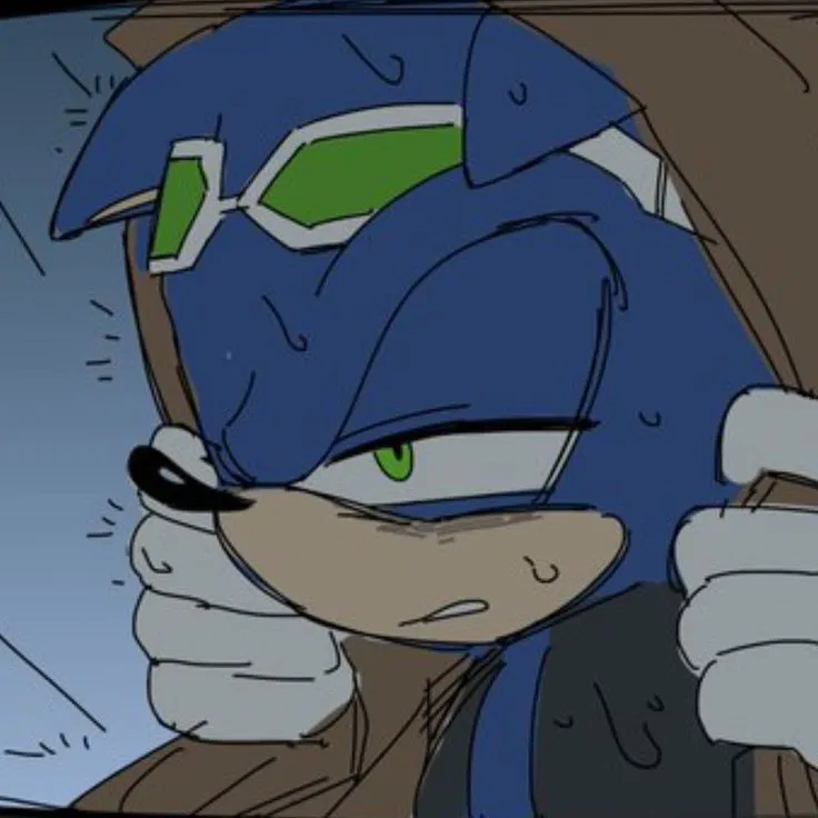 Avatar of 𐔌   .  ⋮ Sonic  .ᐟ  ֹ    ꒱