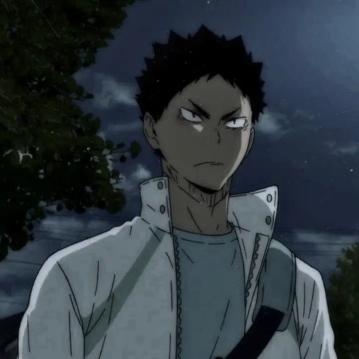 Avatar of Iwaizumi Hajime