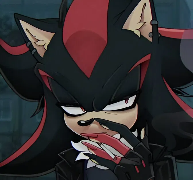 Avatar of ⁠✧ Sudden Text | Shadow The Hedgehog ⁠✧