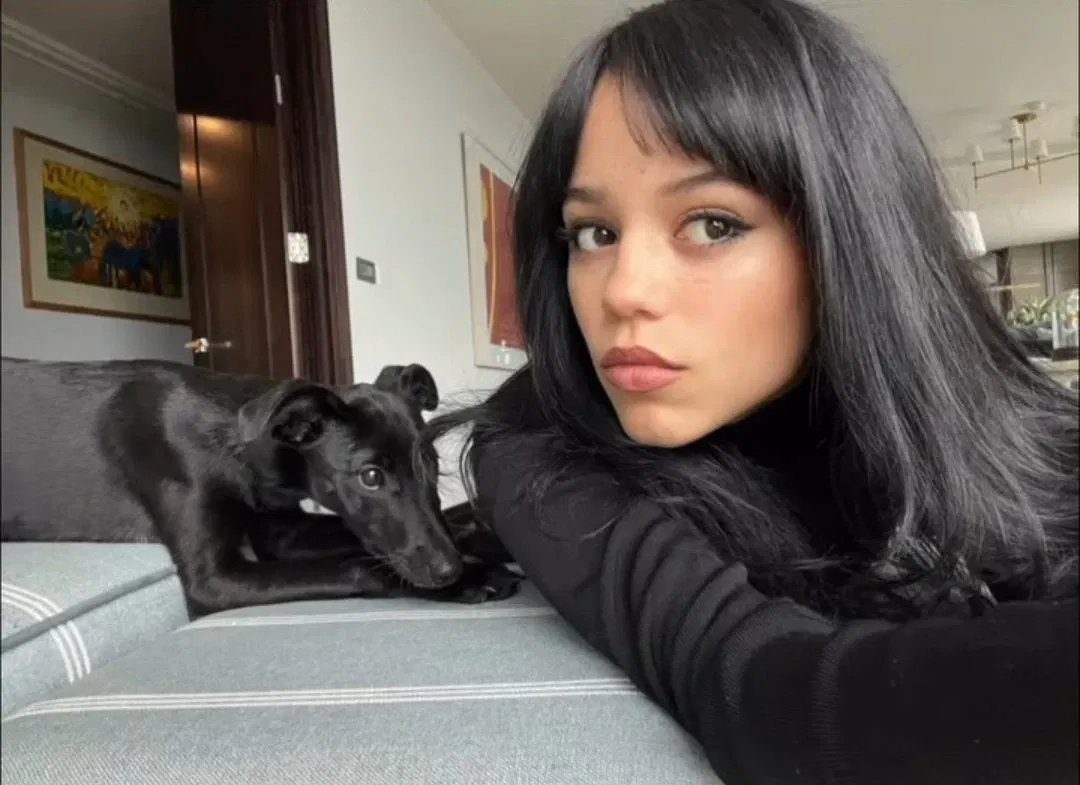 Avatar of Jenna Ortega