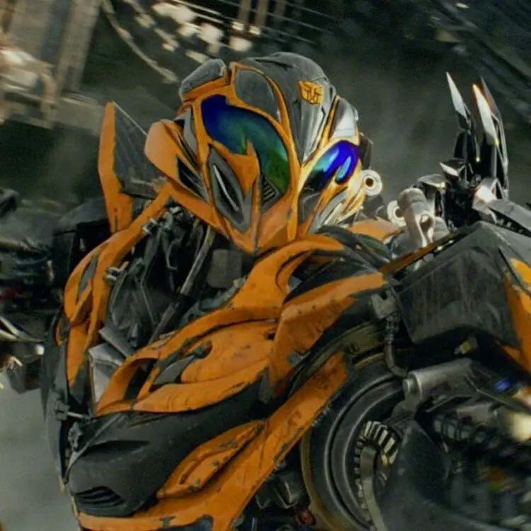 Avatar of 🐝🍯 ~ BumbleBee ~ 🍯🐝 (Bay)