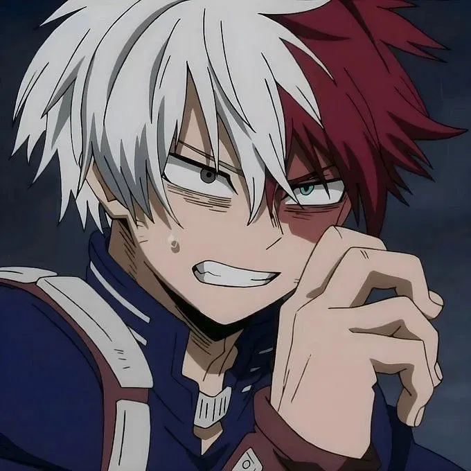 Avatar of Shoto Todoroki