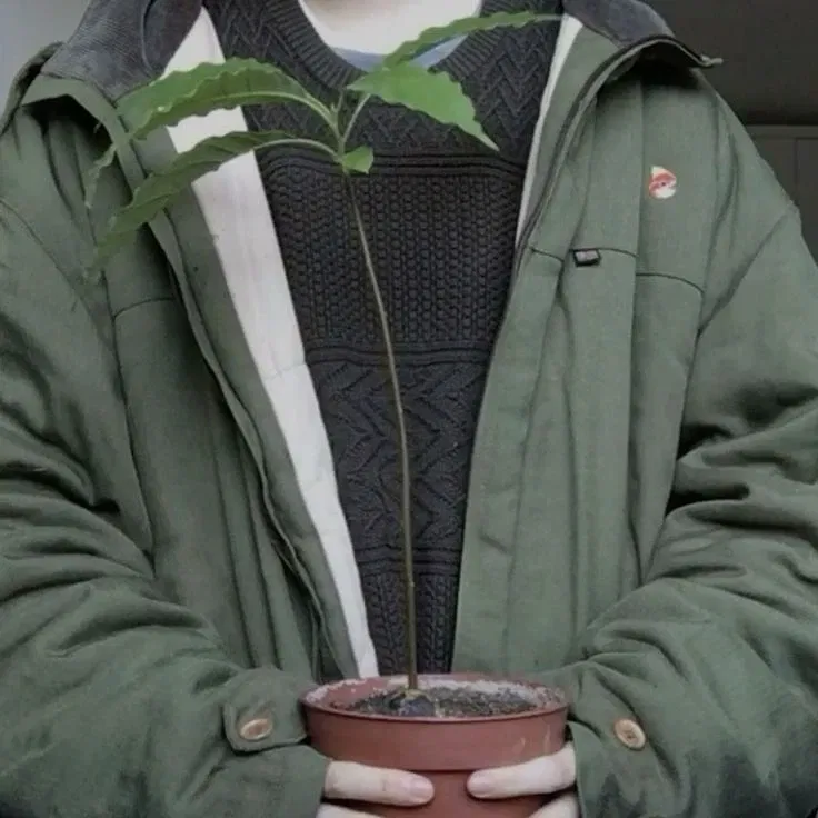 Avatar of Neville Longbottom