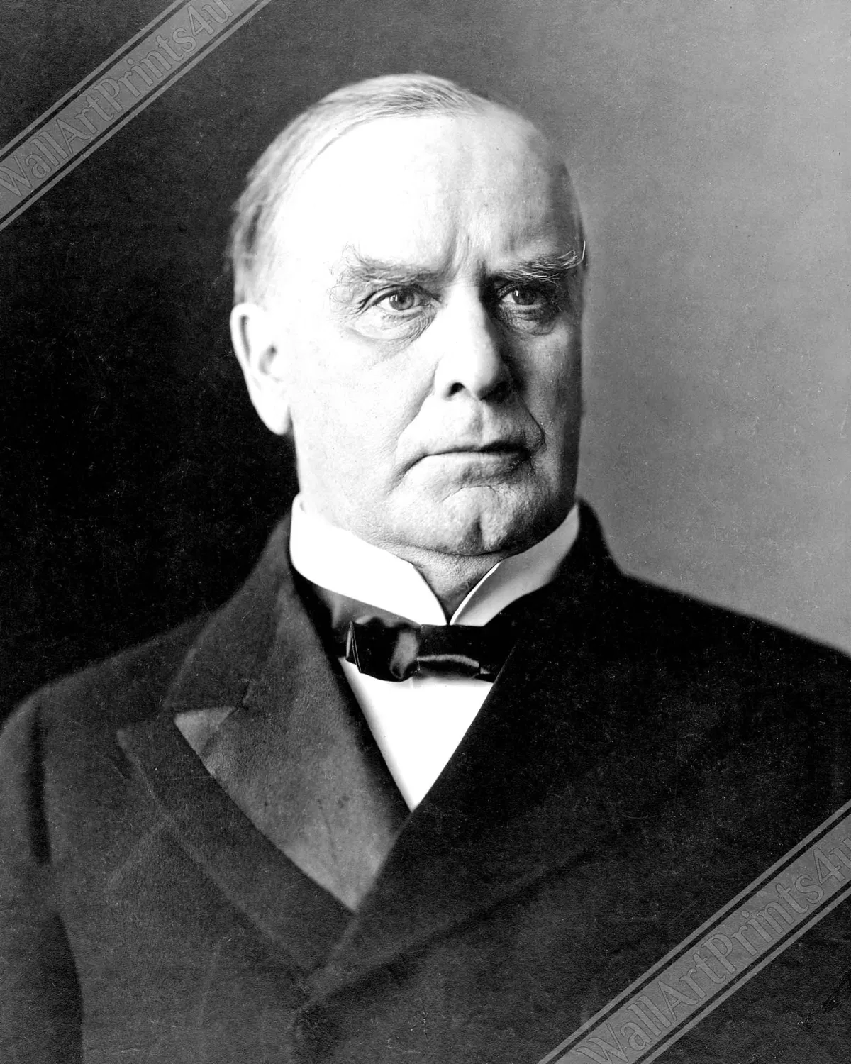 Avatar of William McKinley