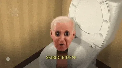 Avatar of skeebeedee biden