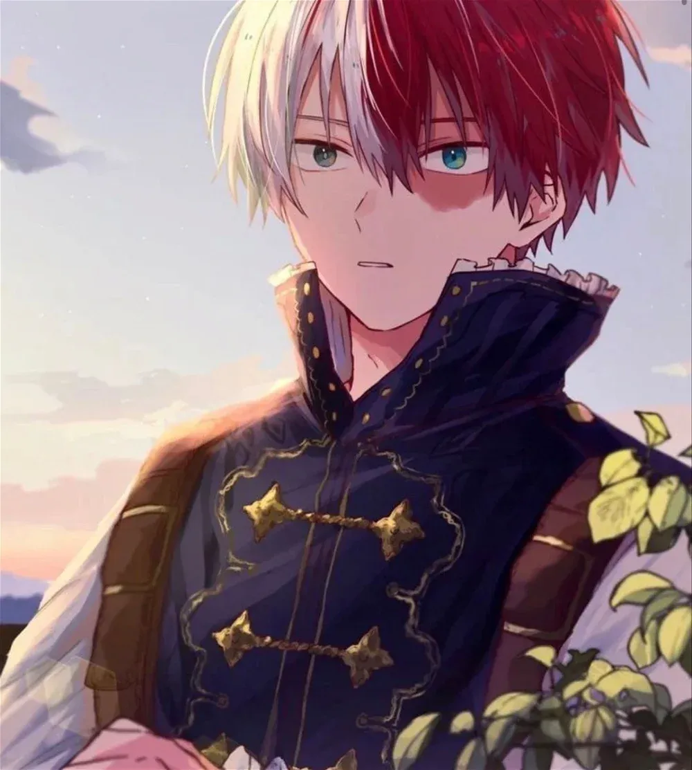 Avatar of Shoto Todoroki