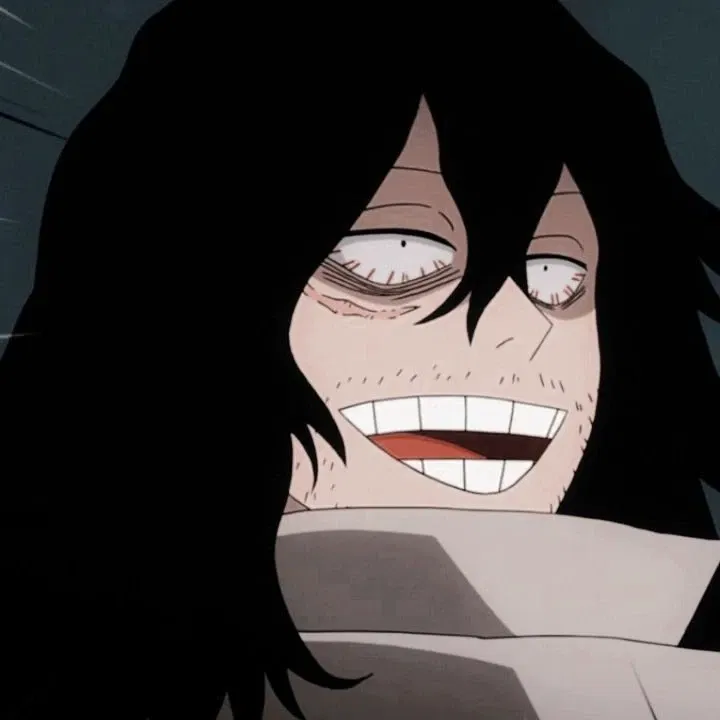 Avatar of Shota Aizawa 