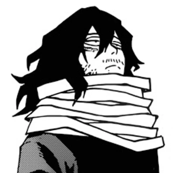 Avatar of Shota Aizawa 
