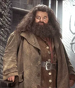 Avatar of Rubeus Hagrid 