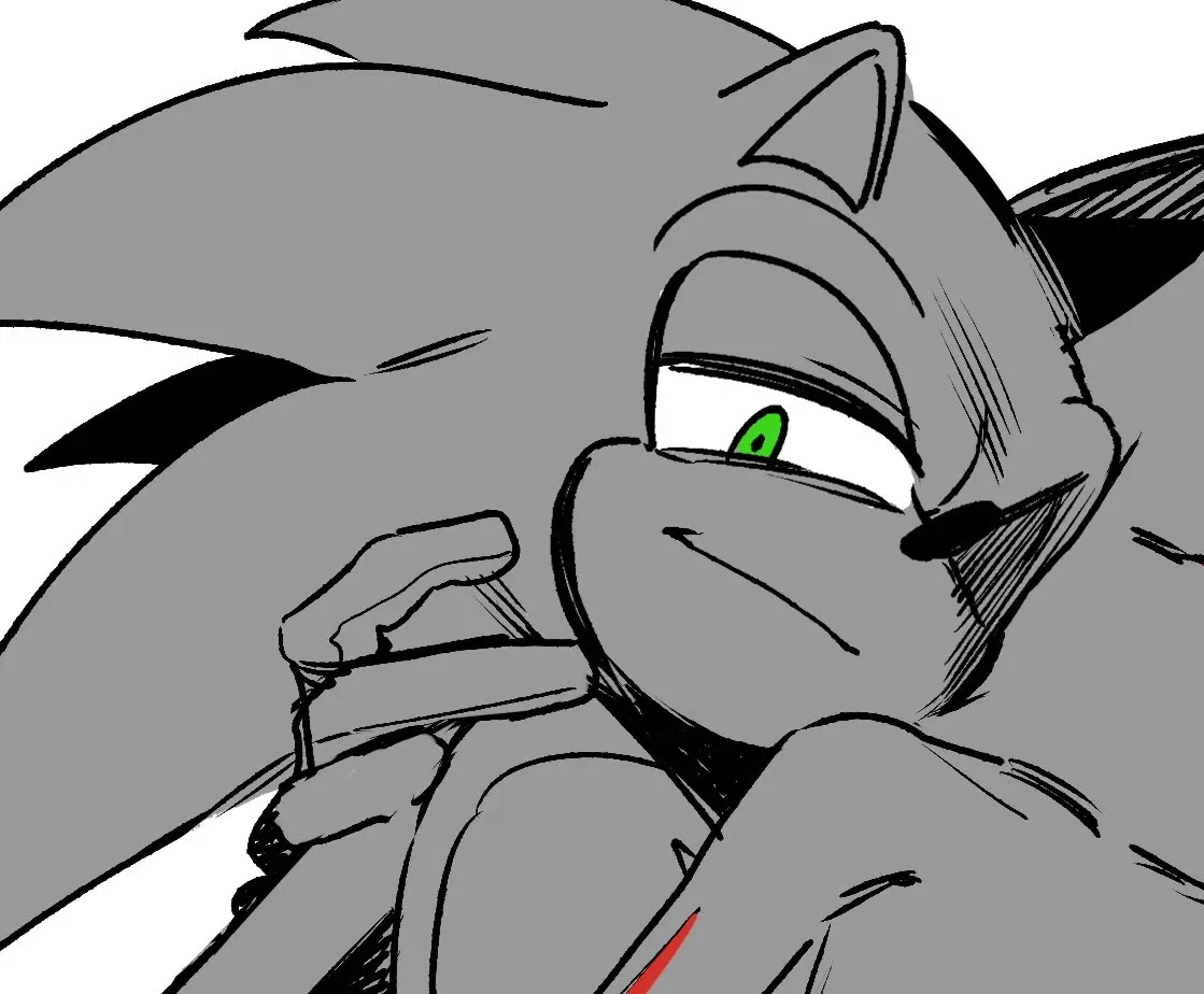 Avatar of Sonic || Stalker