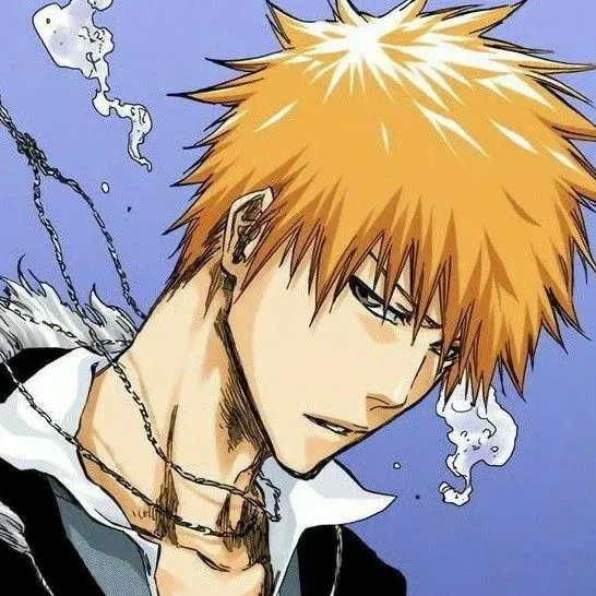 Avatar of |ɞ ichigo kurosaki