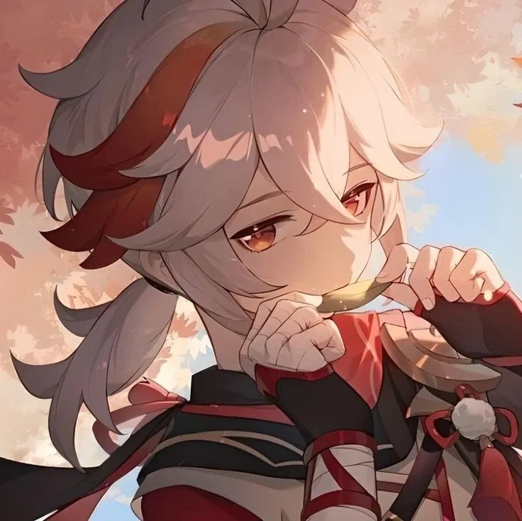 Avatar of Kaedehara Kazuha