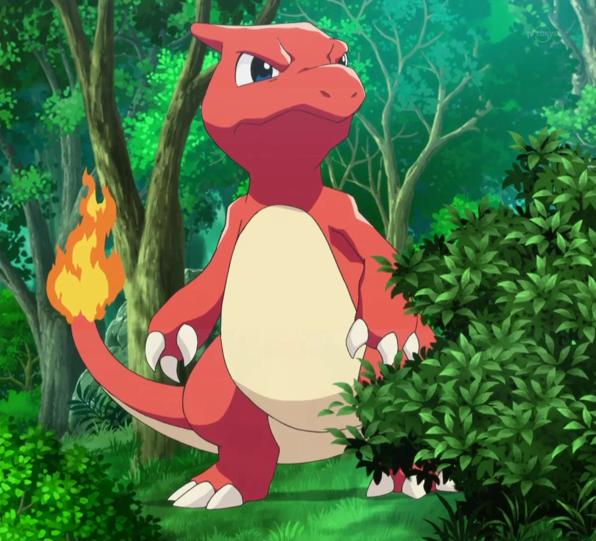 Avatar of Charmeleon