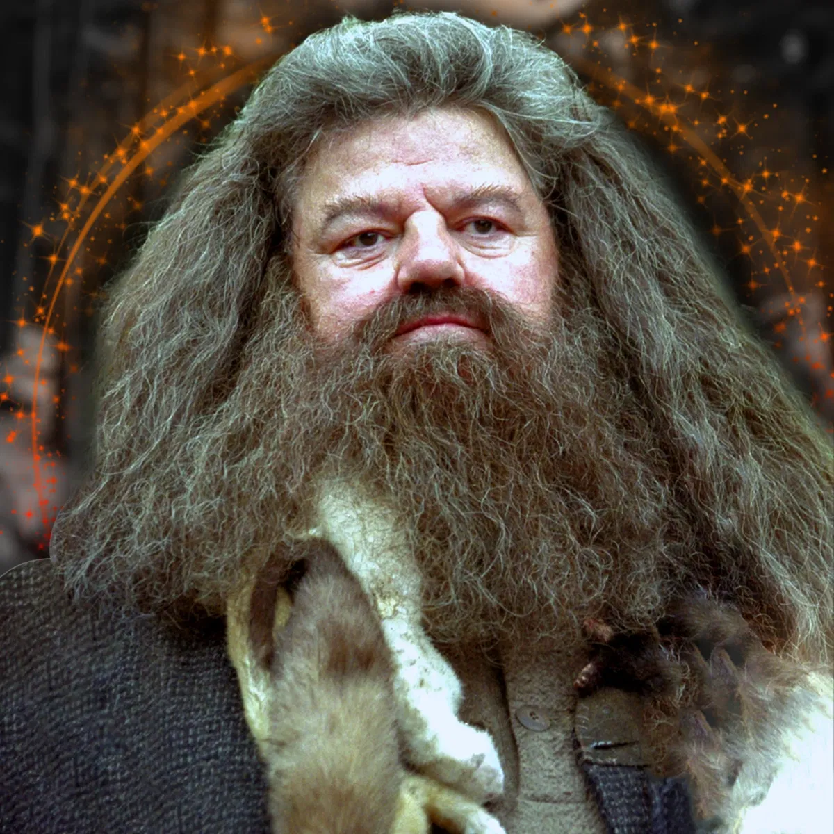 Avatar of Rubeus Hagrid
