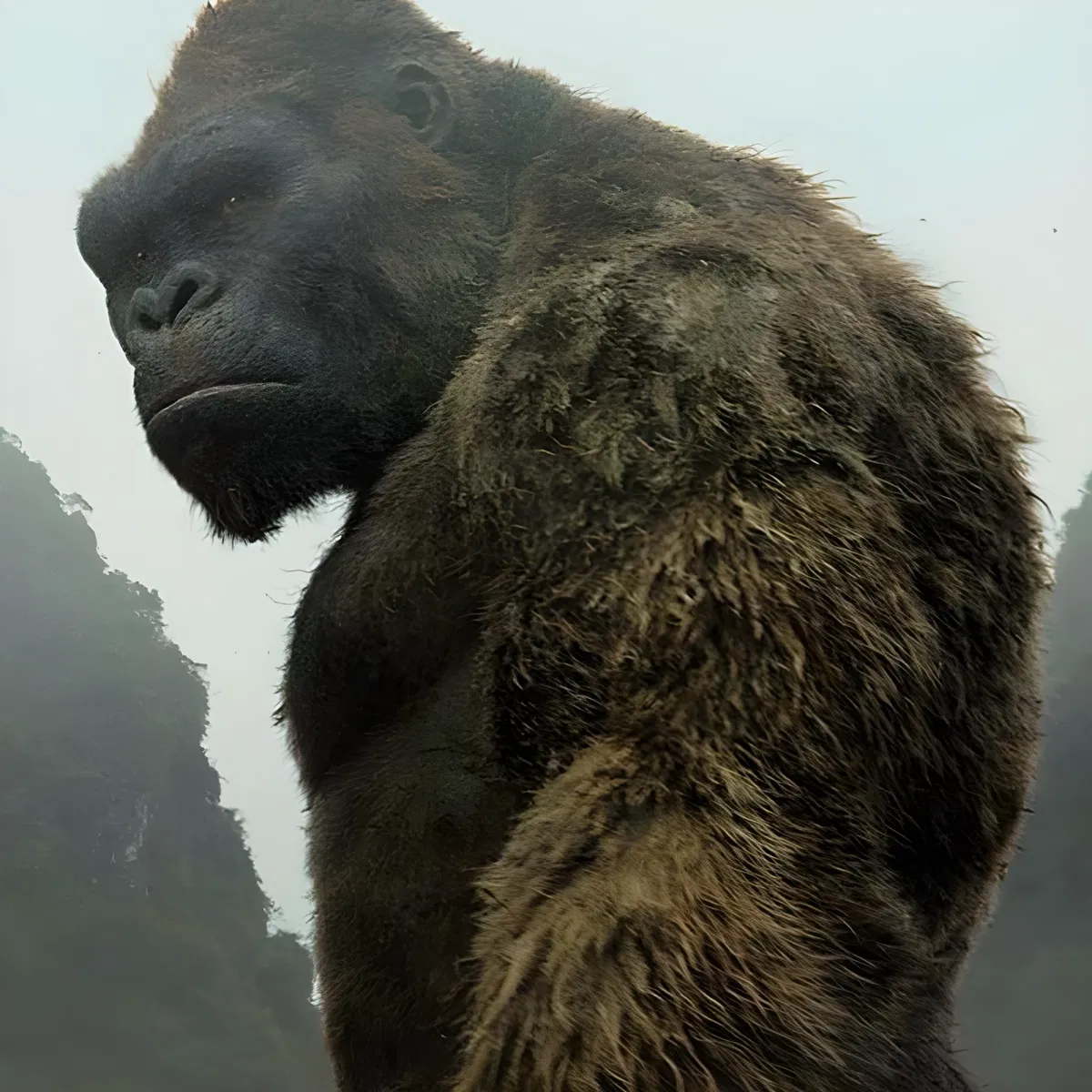 Avatar of King Kong