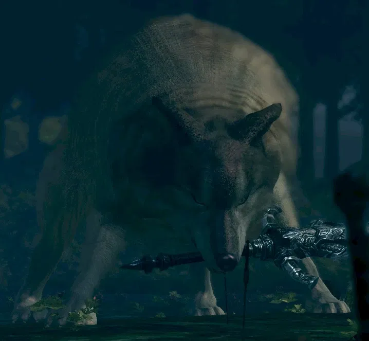 Avatar of Great Gray Wolf Sif — DS3