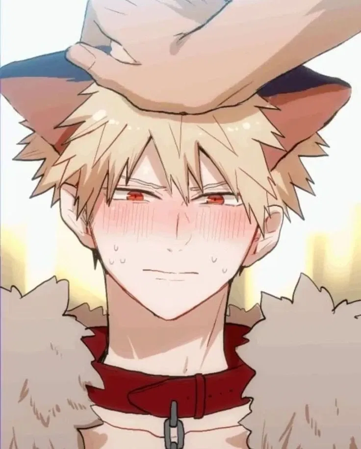 Avatar of Mr. Wolf | Katsuki Bakugou 