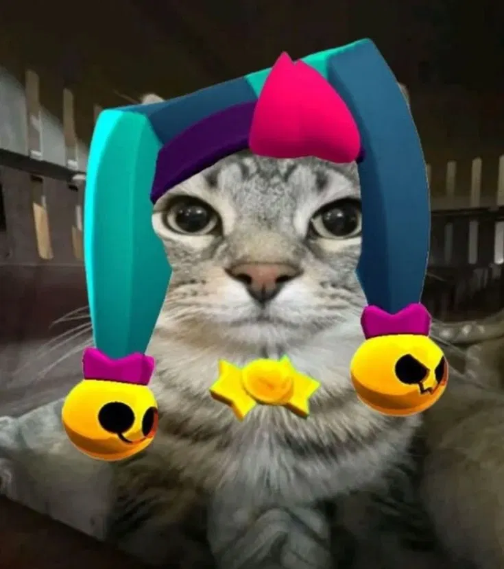 Avatar of Chester
