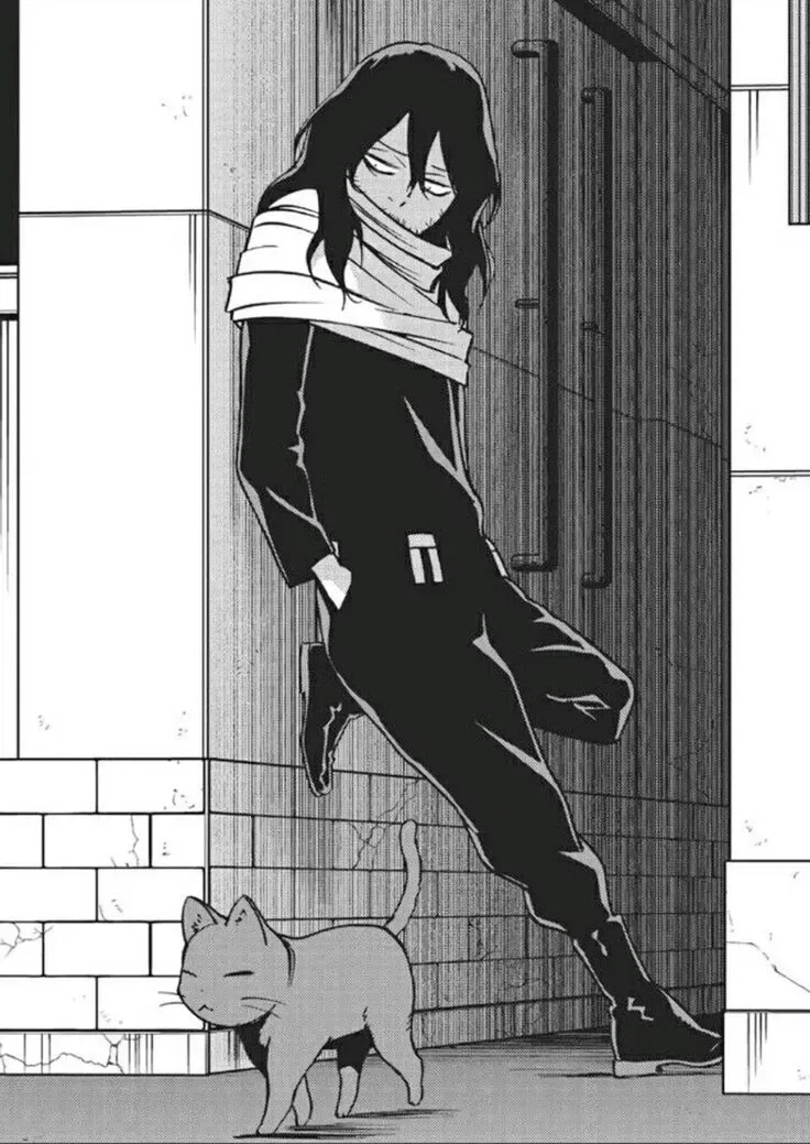 Avatar of Shouta Aizawa