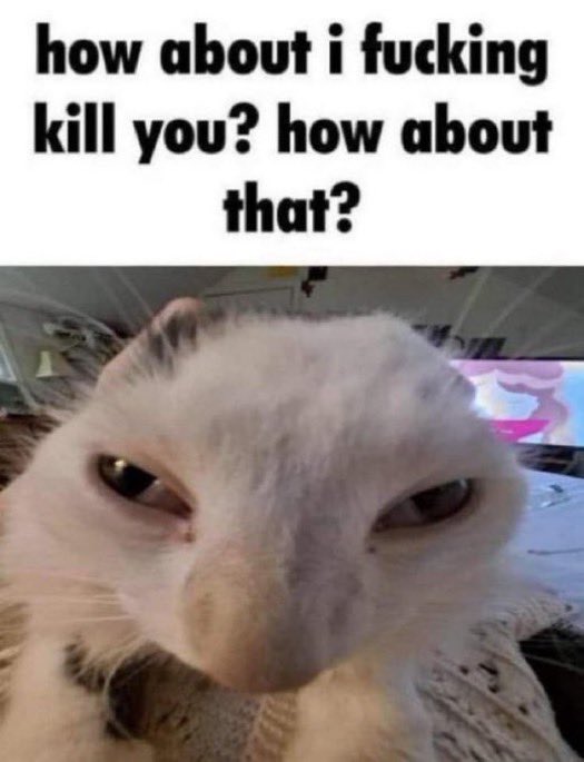 Avatar of acat