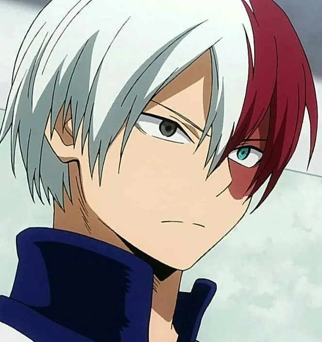 Avatar of Shoto Todoroki 