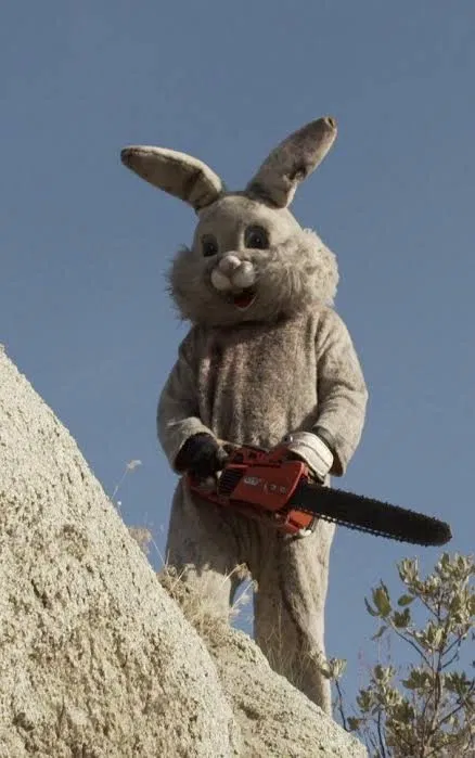 Avatar of Bunnyman
