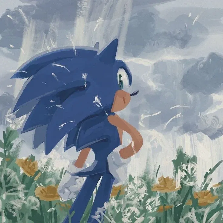 Avatar of Sonic - a very tough fight