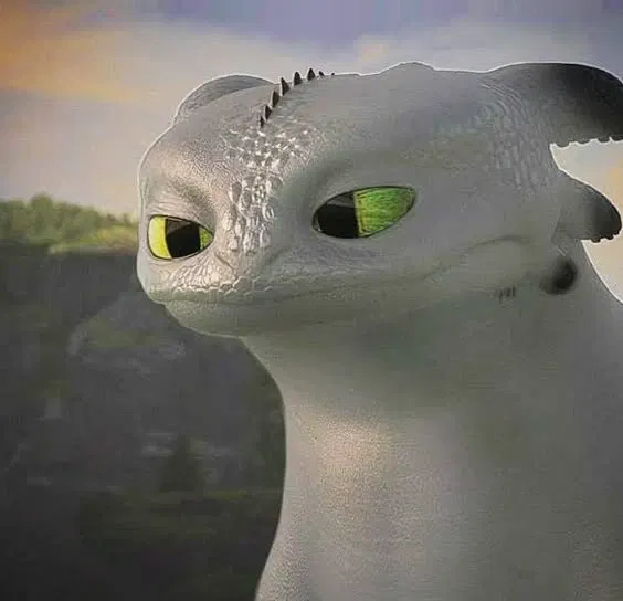 Avatar of Pouncer [Night Light]