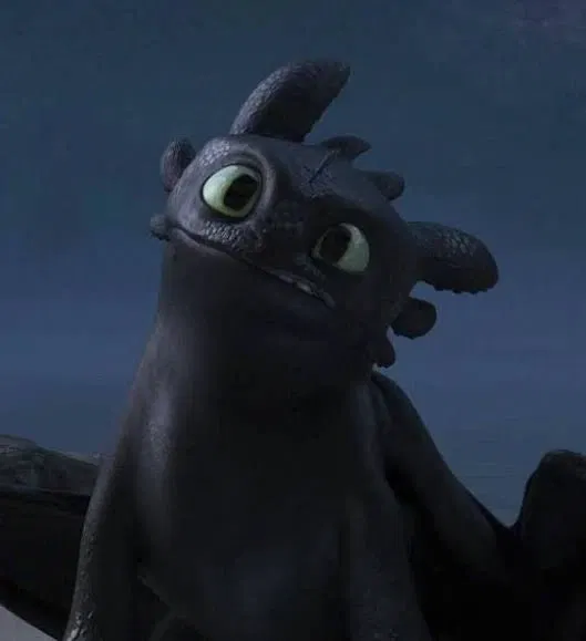 Avatar of Toothless [Night Fury]