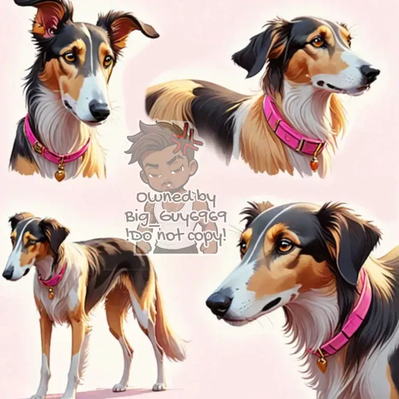 Avatar of Jacky the elegant Saluki