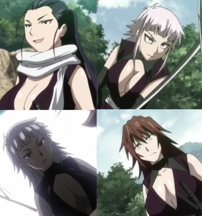 Avatar of Kirino, Yasha, Kagerou, and Kasumi, the Manyuu Assassin Squad