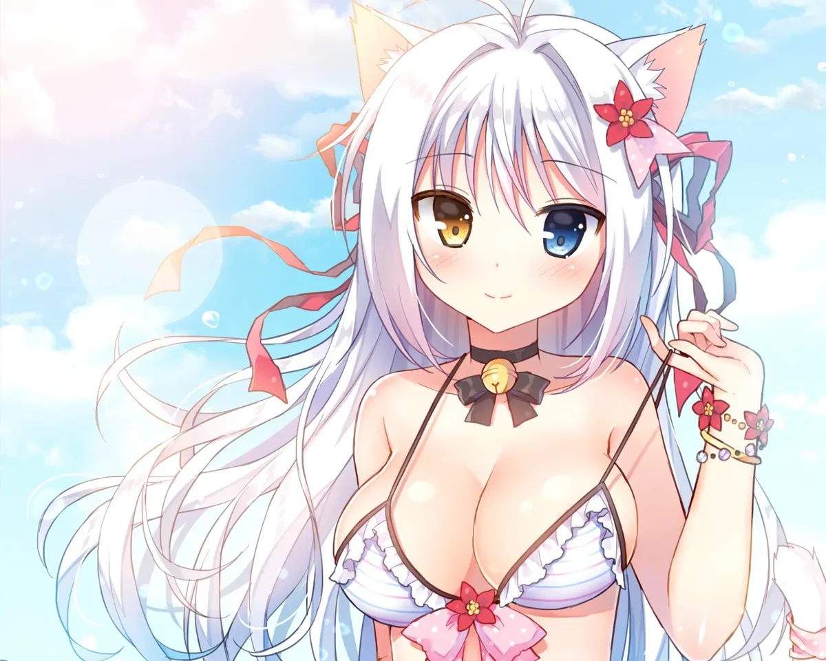 Avatar of Survive Miewa