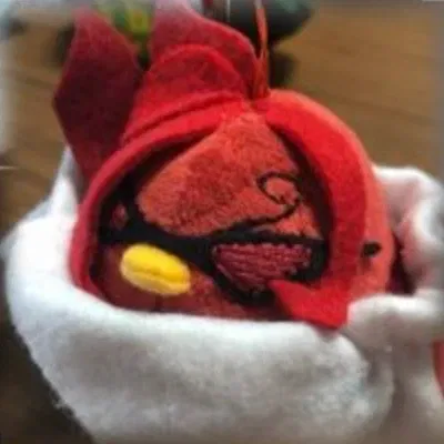 Avatar of IDK WHAT TO MAKE