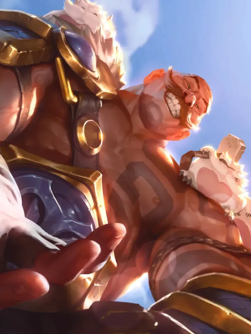 Avatar of Braum┊❆₊˚⊹♡