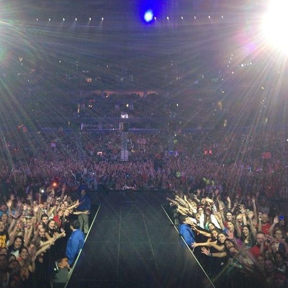 Avatar of Concert Crowd