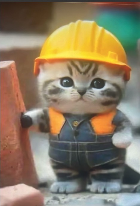 Avatar of gato