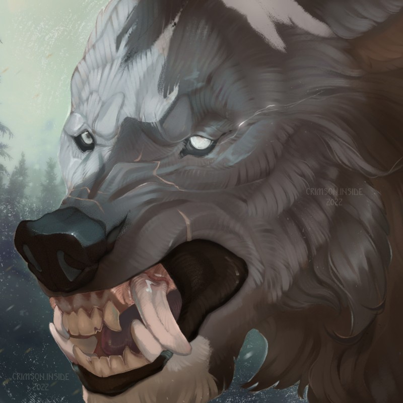 Avatar of Sklaer