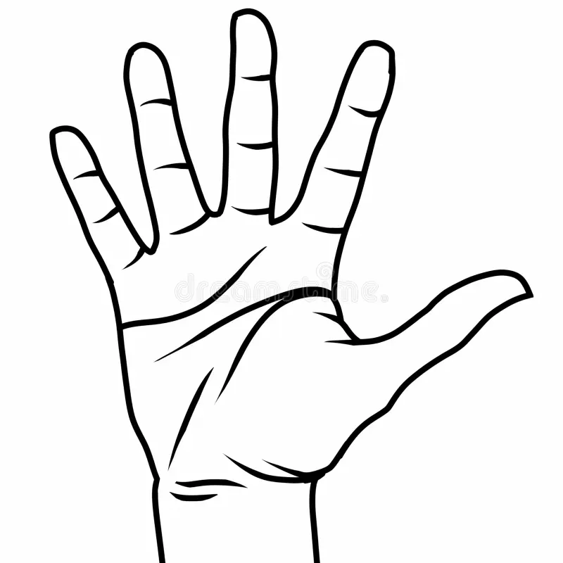 Avatar of Right Hand