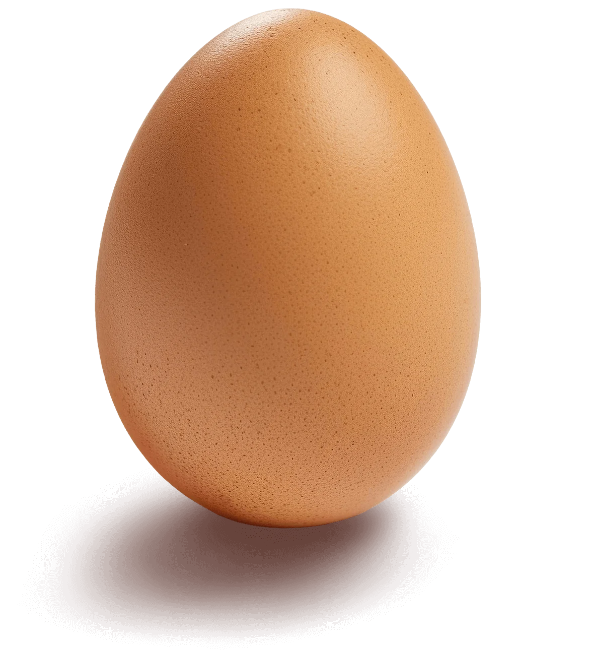 Avatar of pov: ur eggnant
