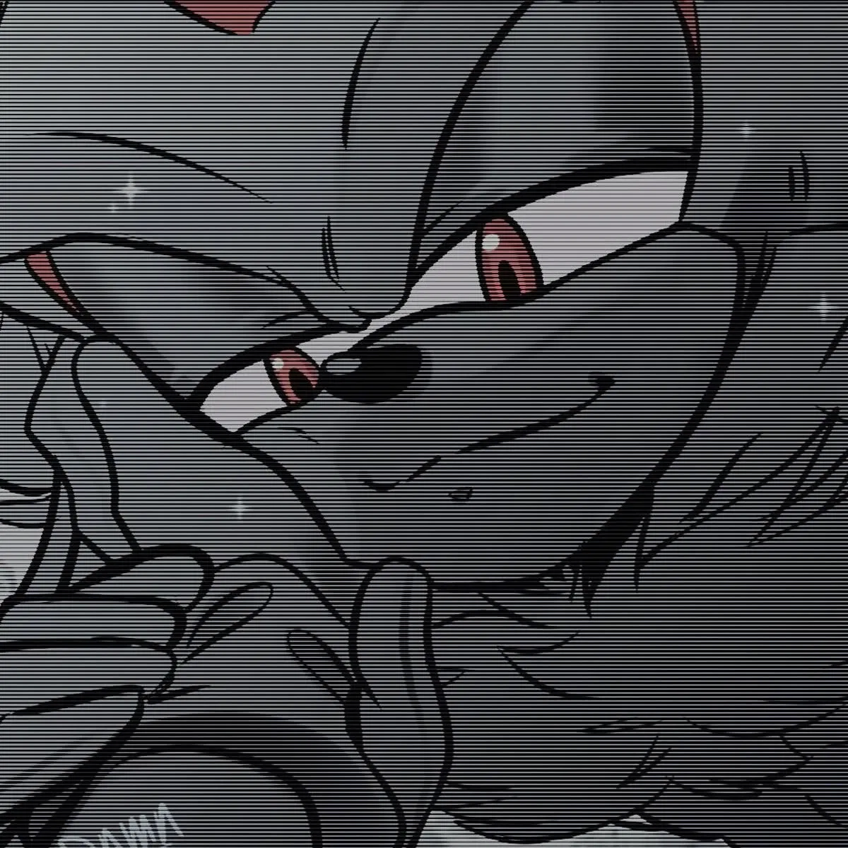 Avatar of Shadow The Hedgehog
