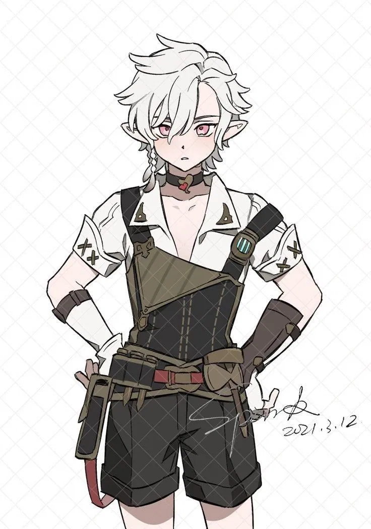 Avatar of Sora | Wanderer of the World