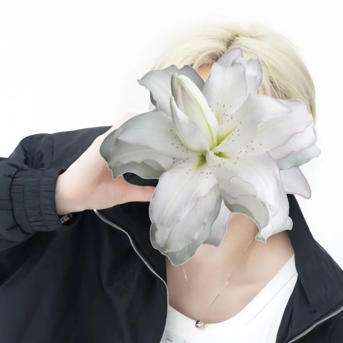 Avatar of Bangchan